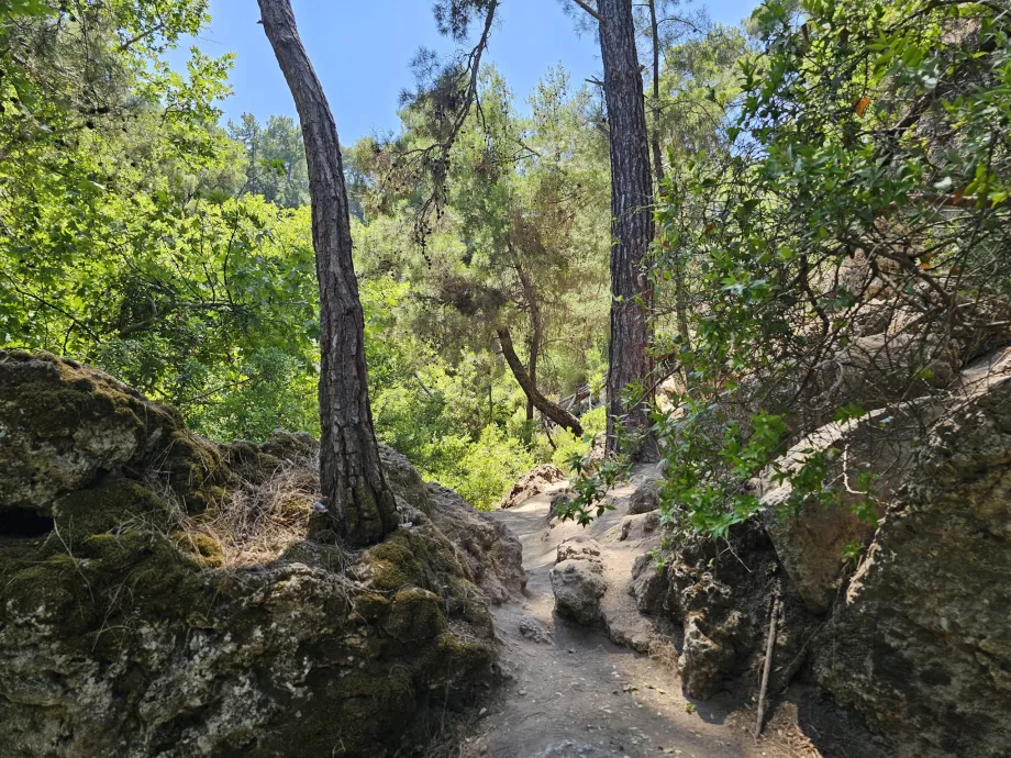 Viaje a los Siete Manantiales
