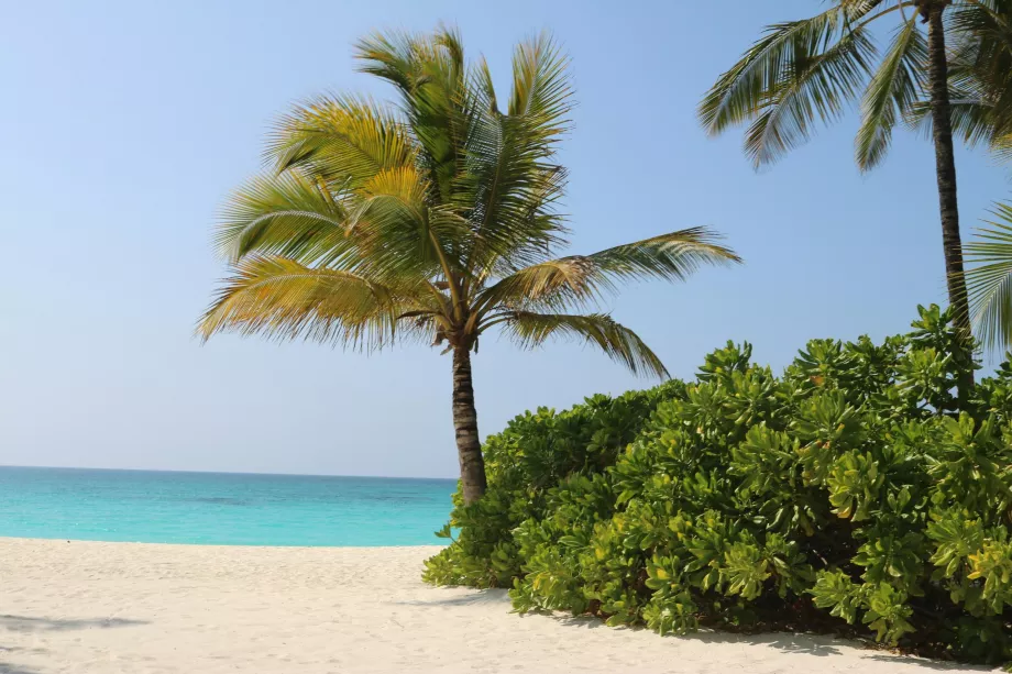 Isla Sinda