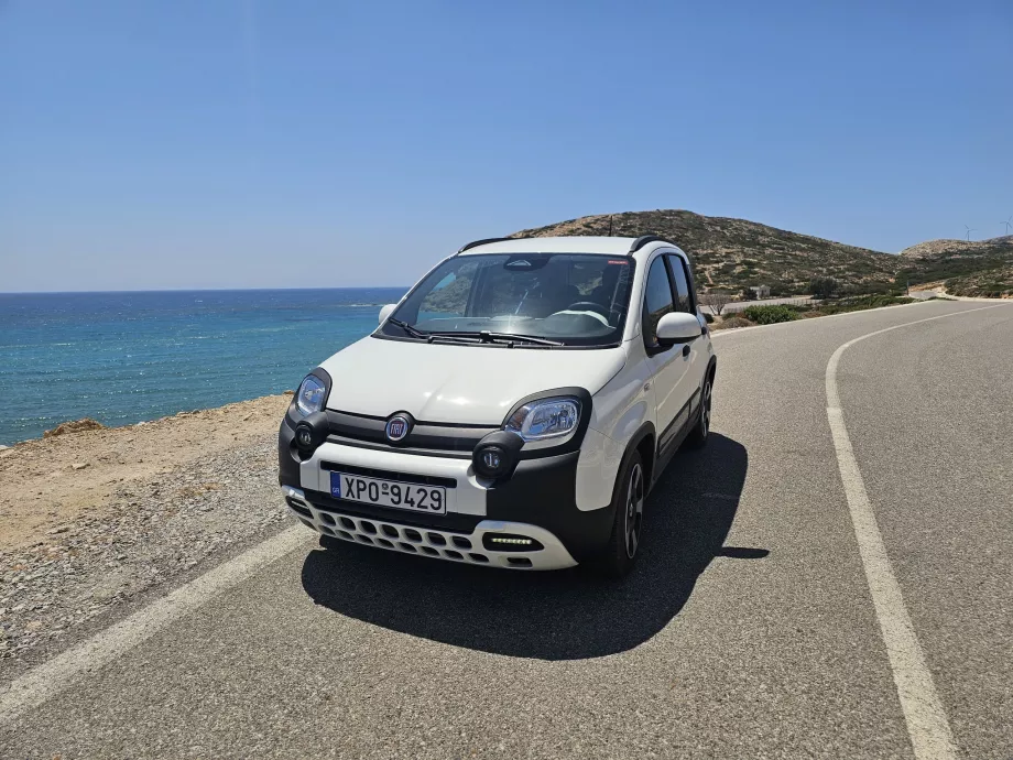 Alquiler de coches