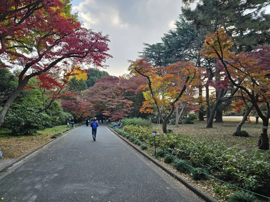 Jardín Nacional Shinjuku Gyoen