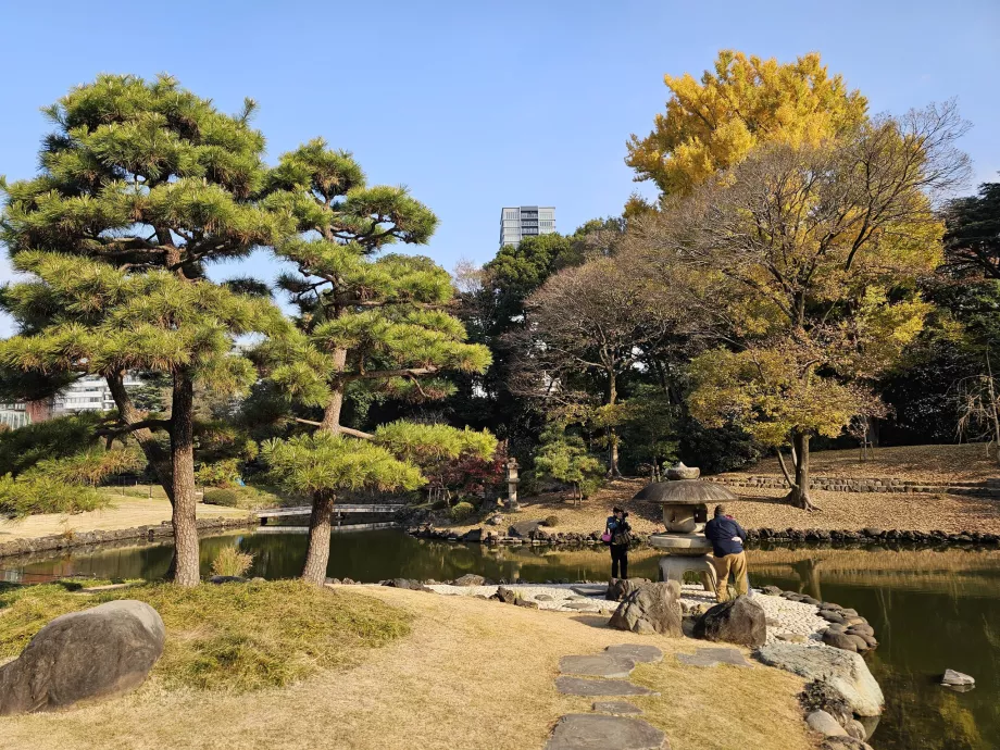 Jardín Nacional Shinjuku Gyoen