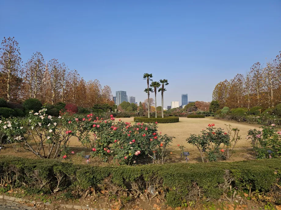 Jardín Nacional Shinjuku Gyoen