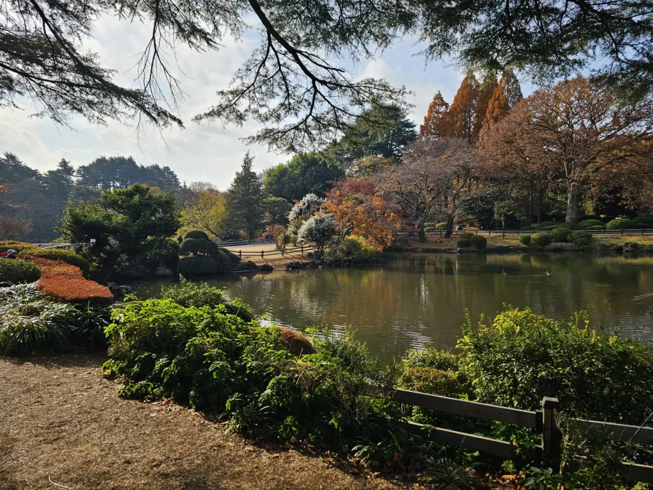 Jardín Nacional Shinjuku Gyoen
