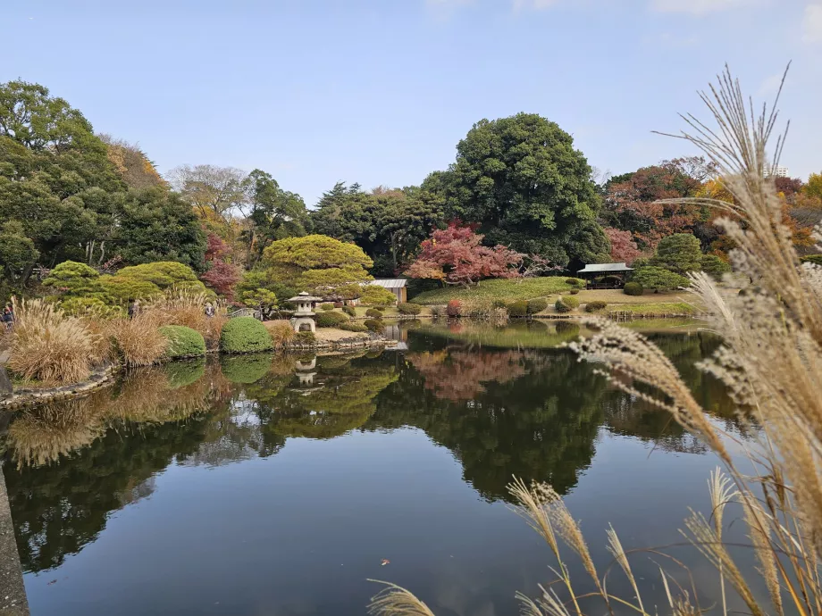 Jardín Nacional Shinjuku Gyoen