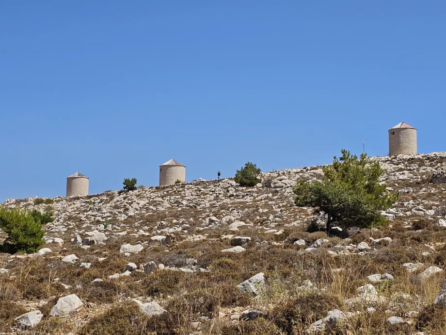 Molinos de viento