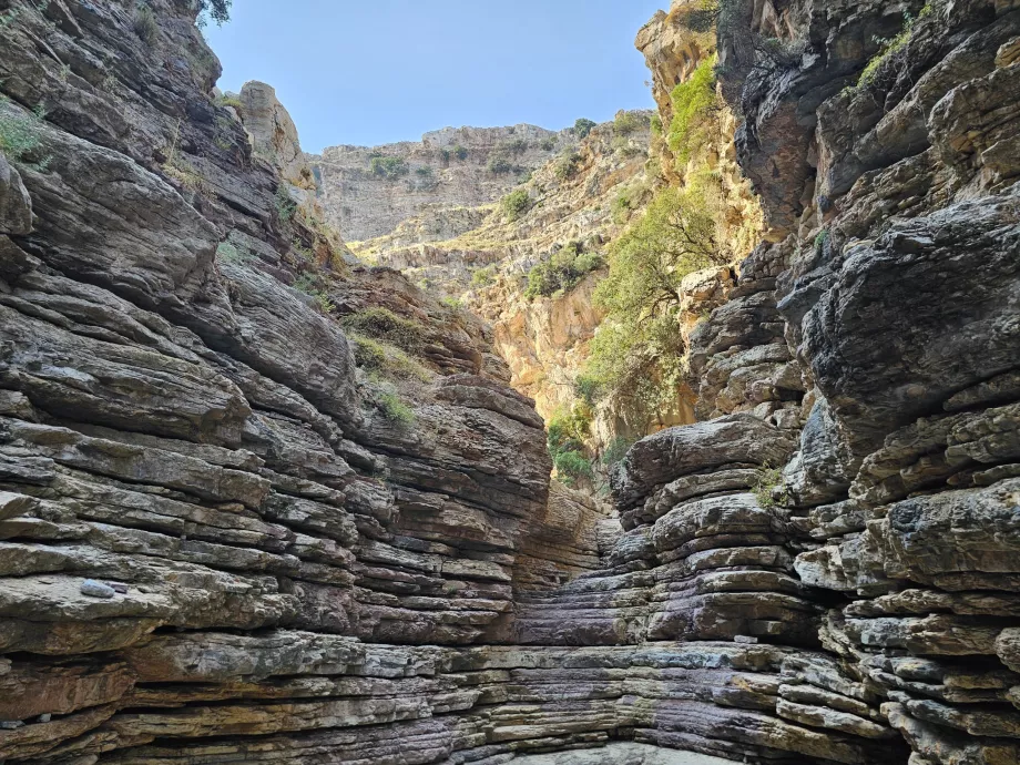 Cañón de Jacob