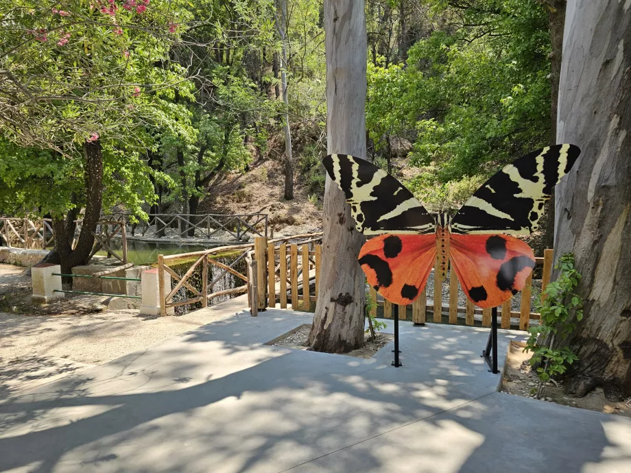 Valle de las mariposas