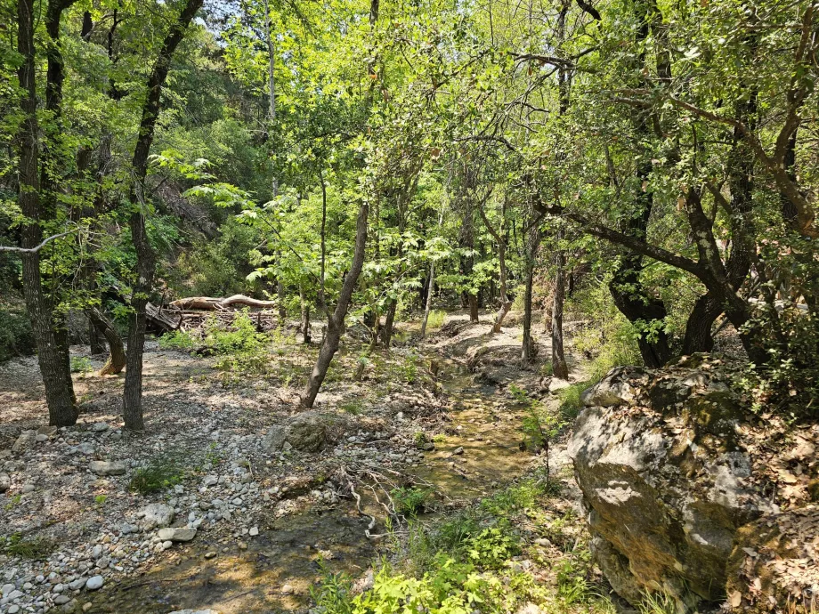 Valle de las mariposas