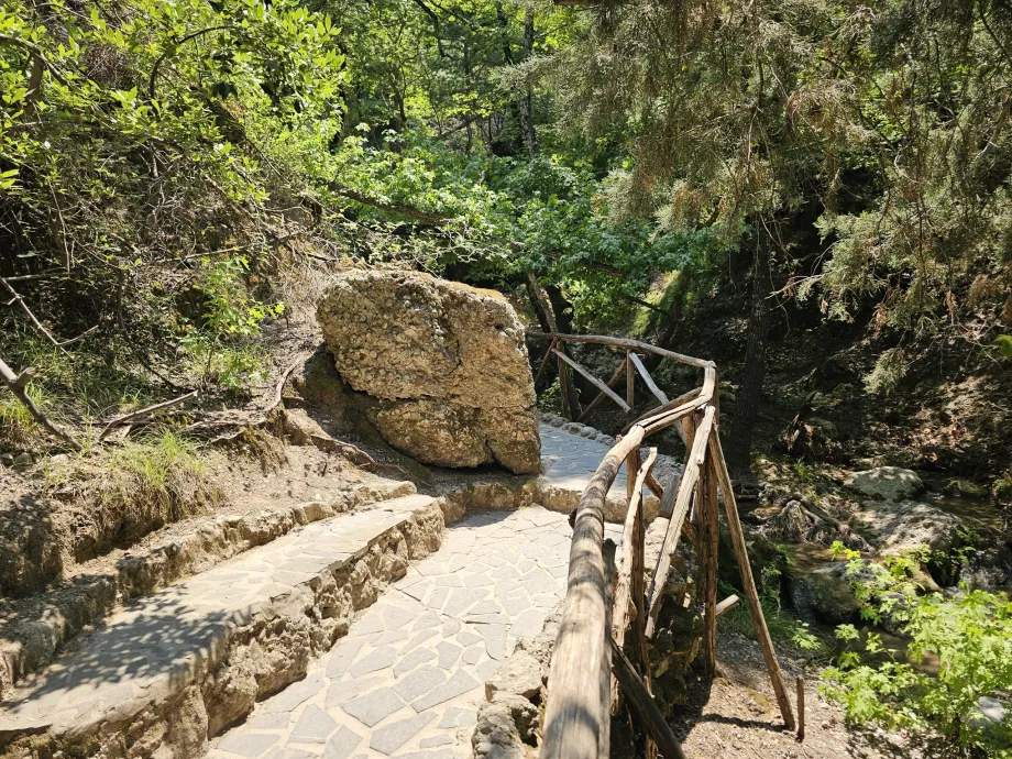 Valle de las mariposas