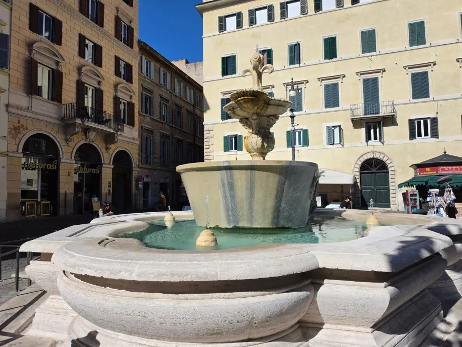 Campo de' Fiori, fuente