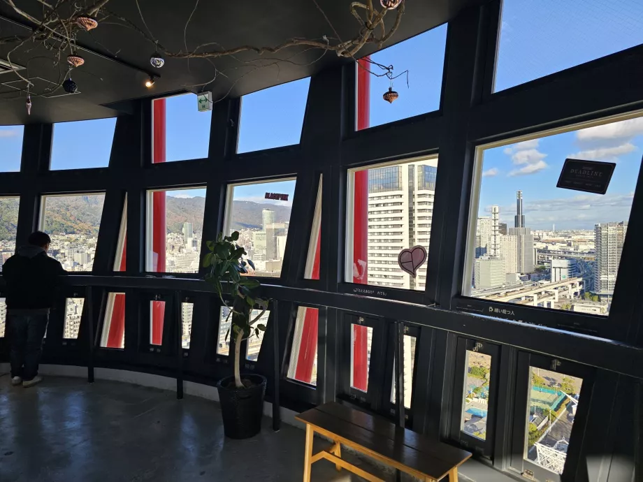 Plataforma principal de observación