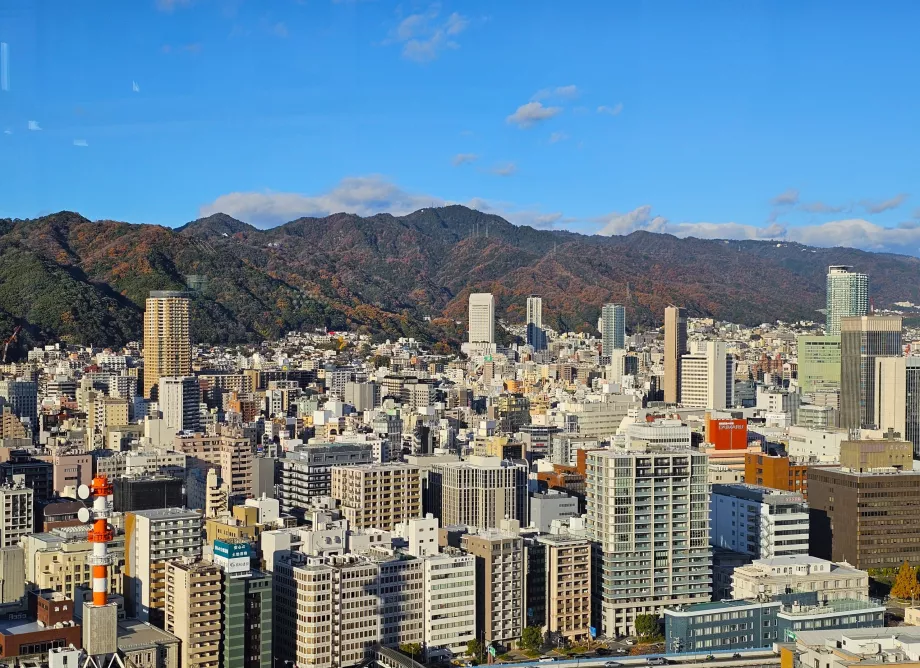Vista desde la Torre del Puerto de Kobe