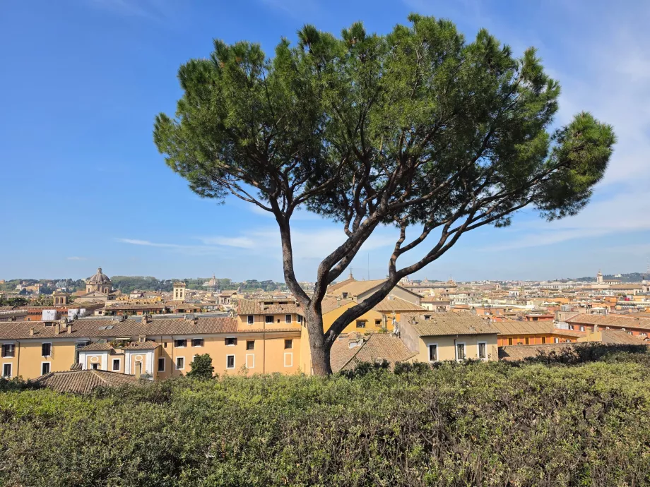 Galería Colonna
