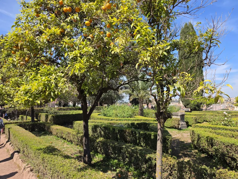 Palatinado