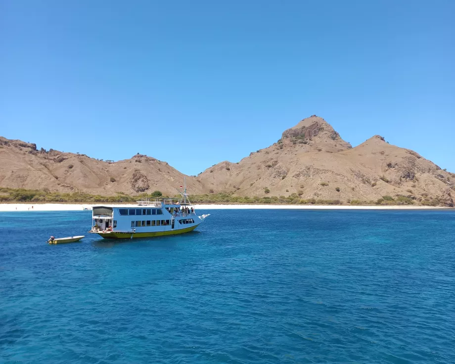 Isla Rinca, Islas Komodo, Indonesia