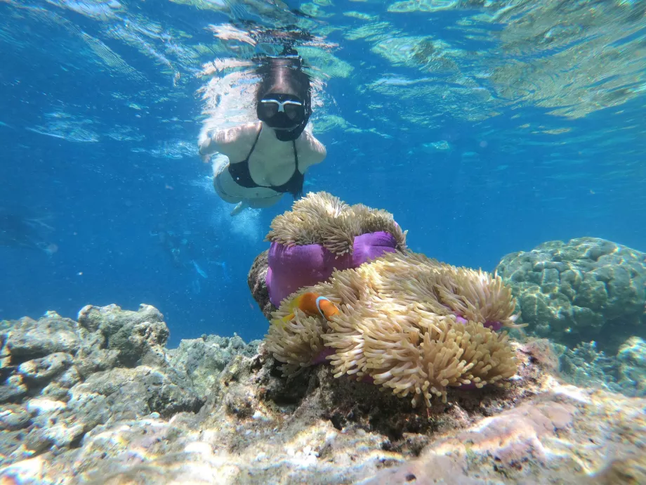 Punta Manjerite, Islas Komodo, Indonesia
