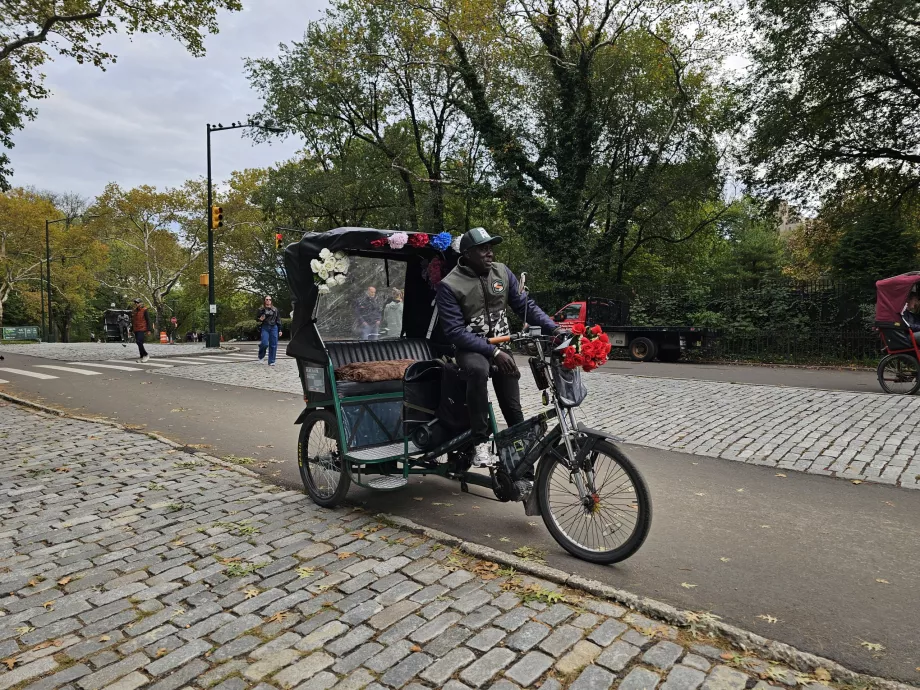 Rickshaw en Central Park