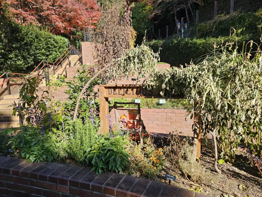 Jardines de hierbas Nunobiki