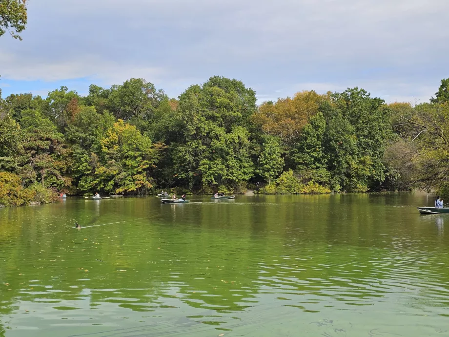 Lago en Central Park
