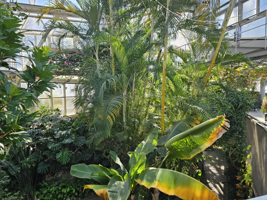 Invernadero del Jardín de Hierbas Nunobiki