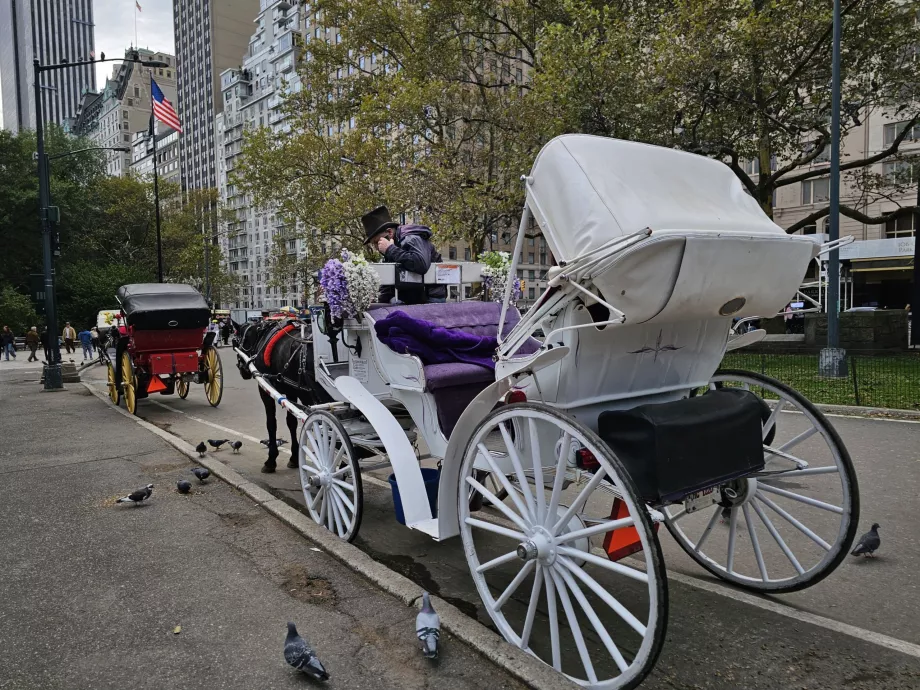 Coche de caballos en Central Park