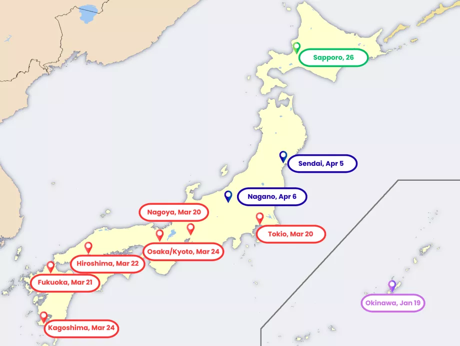 Mapa de la floración del sakura