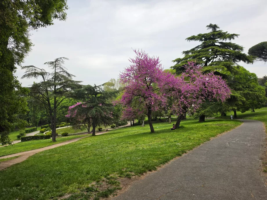 Parque Villa Borghese