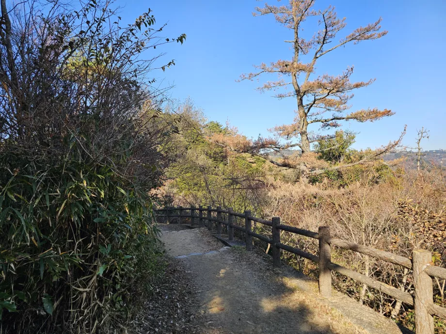 Senderismo en los montes Rokko
