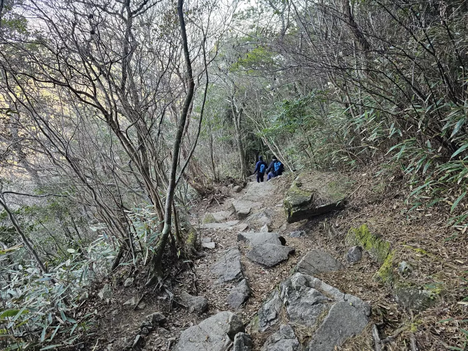 Ruta de senderismo por los montes Rokko