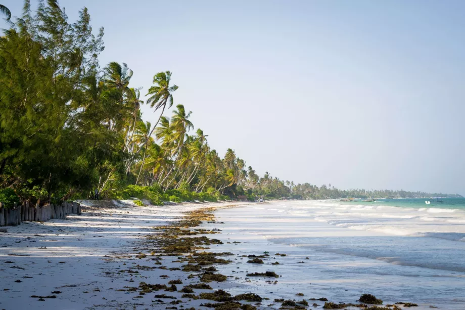 Playa de Bwejuu