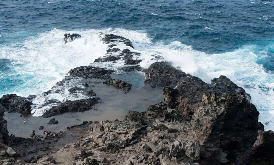 Piscinas de aceitunas
