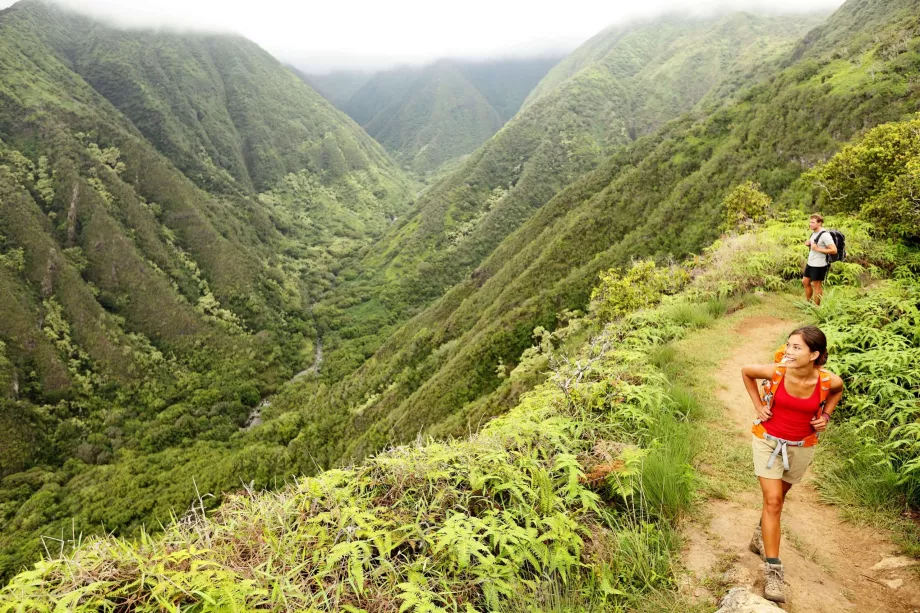 Sendero Waihee Ridge