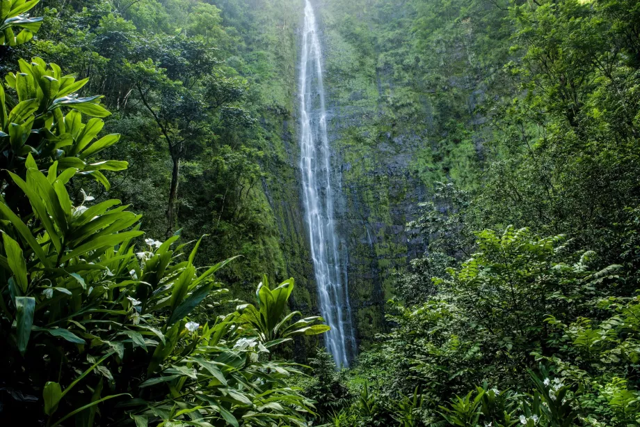 Cascadas Waimoku
