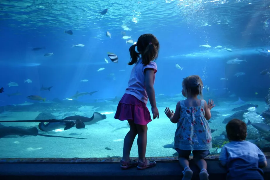 Centro Oceánico de Maui