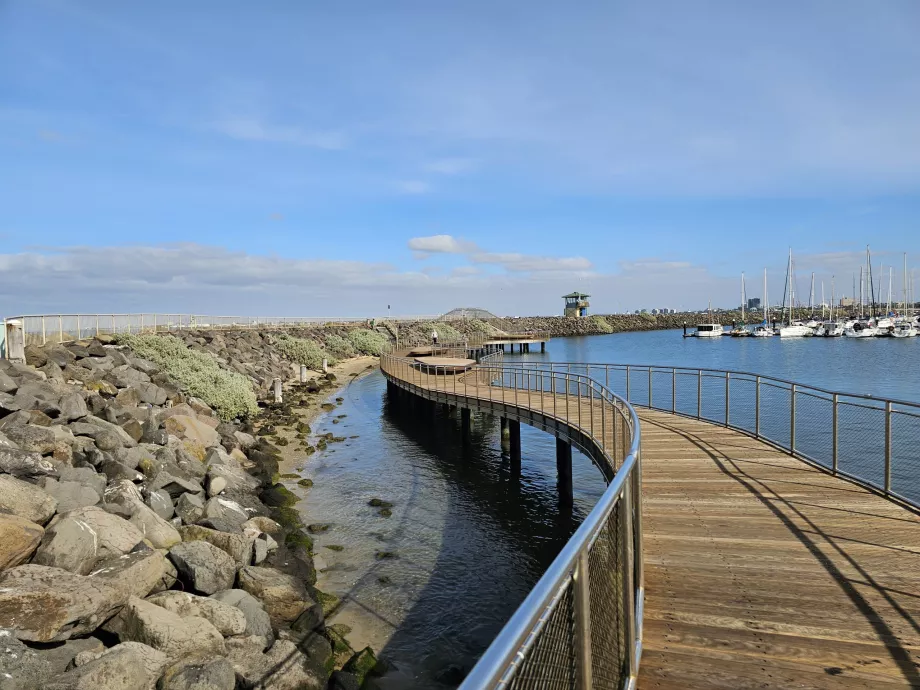 Ruta de observación de pingüinos en el muelle de St. Kilda