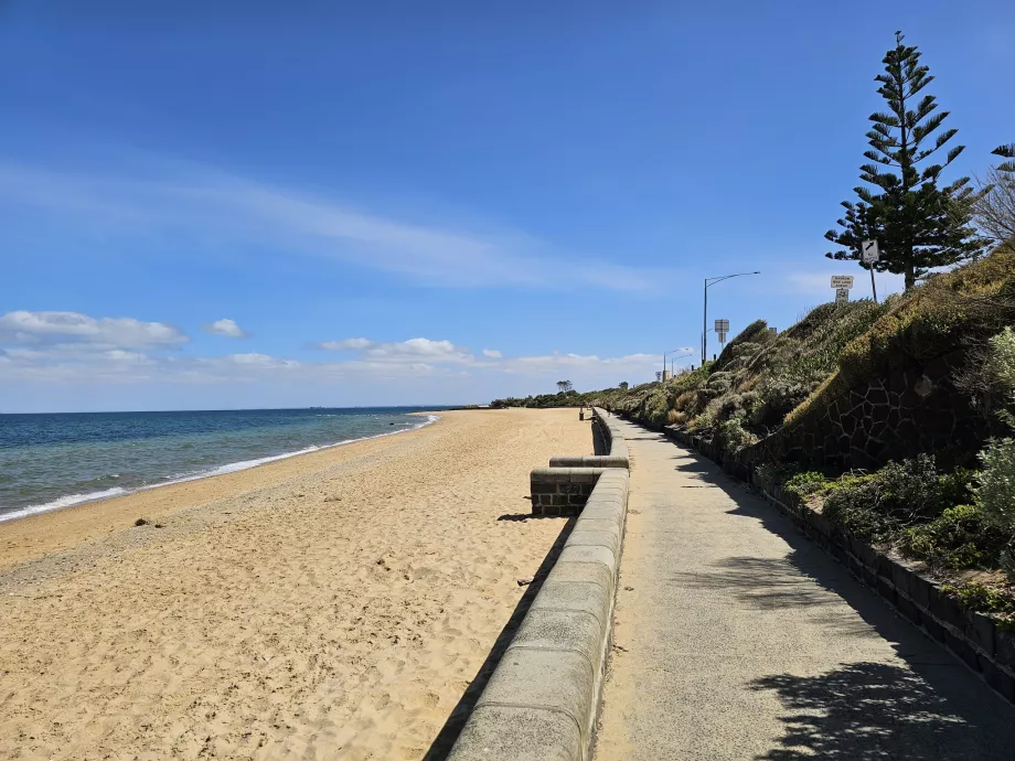 Playa Brighton