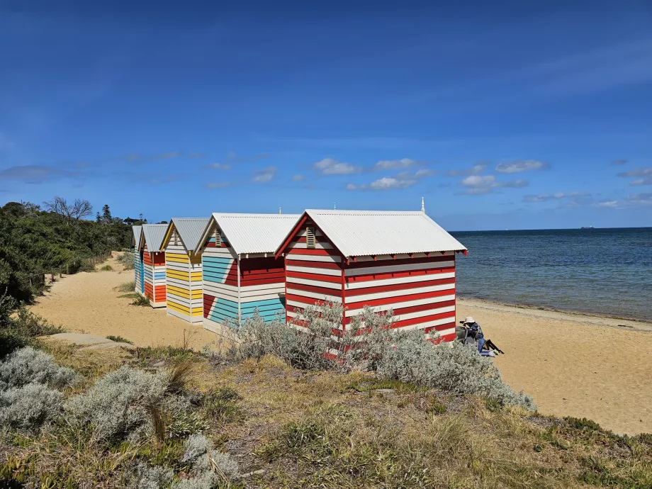 Cajas de Brighton Beach