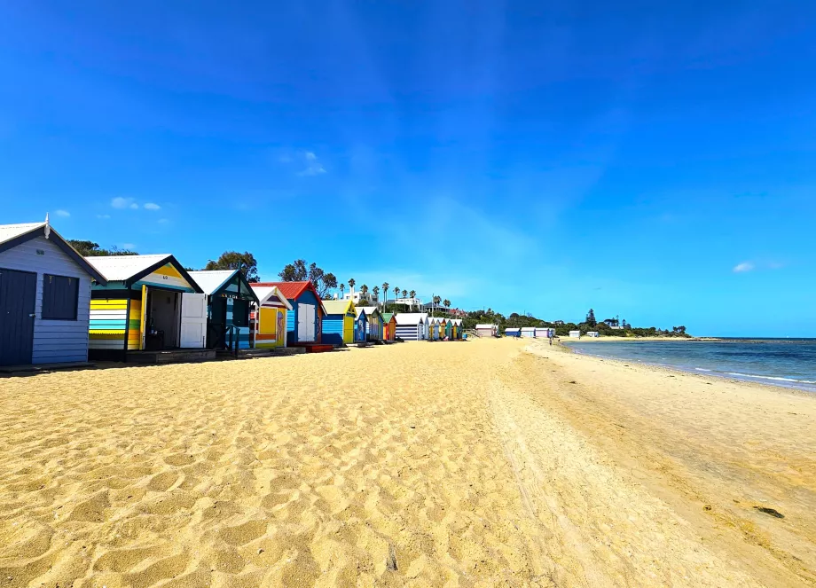 Cajas de Brighton Beach