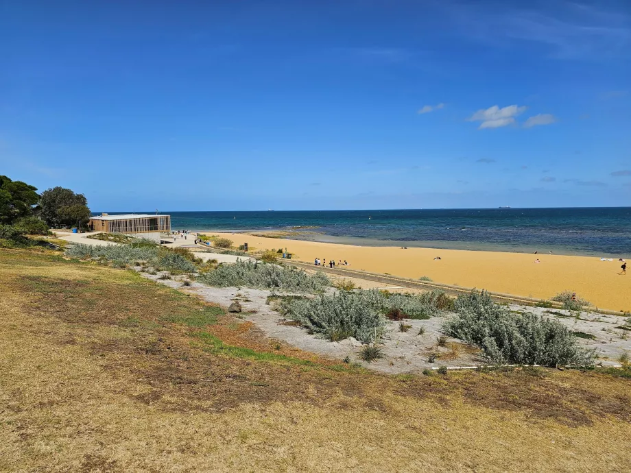 Playa Brighton