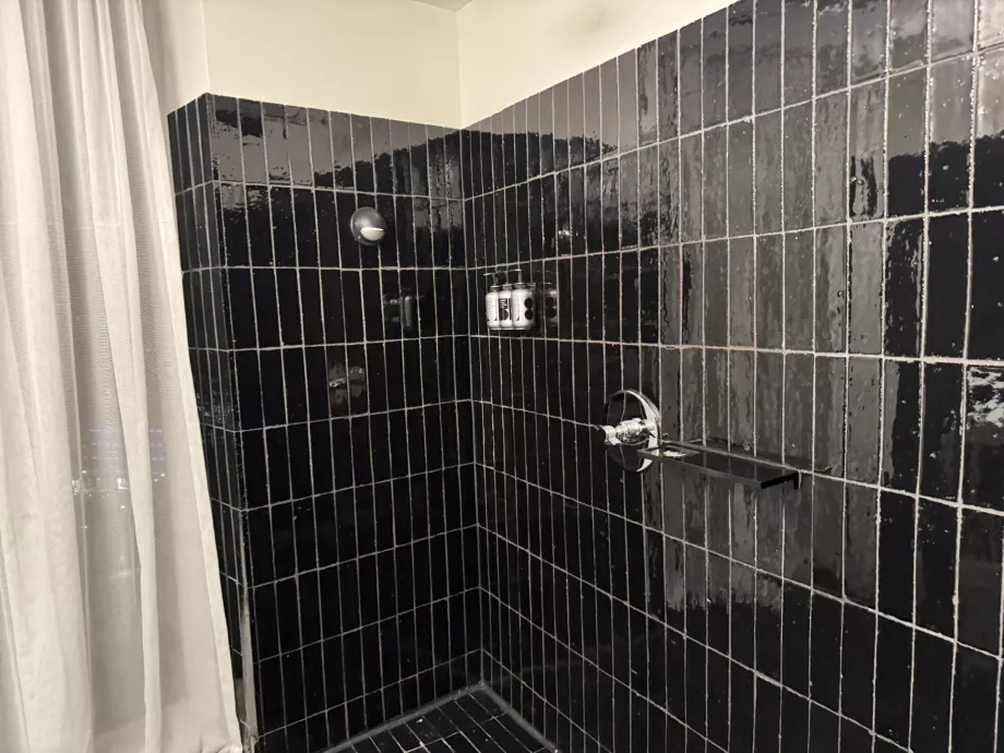 Sólo ducha de cabeza