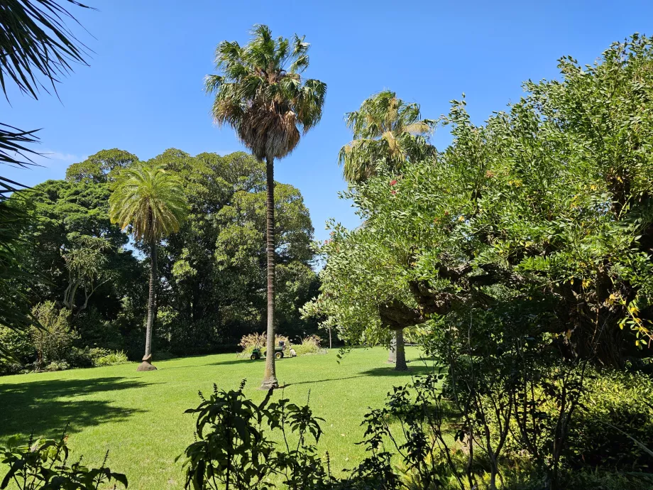 Real Jardín Botánico