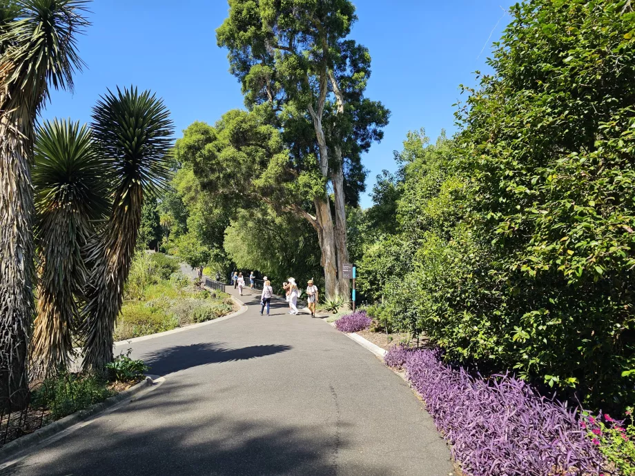 Real Jardín Botánico