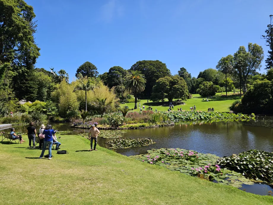 Real Jardín Botánico