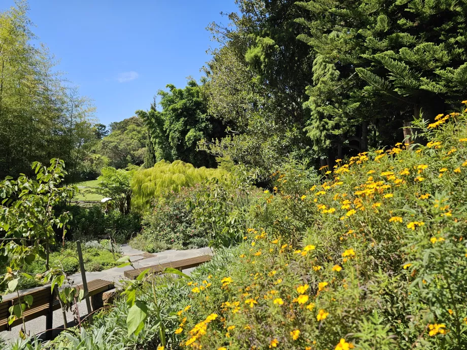 Real Jardín Botánico