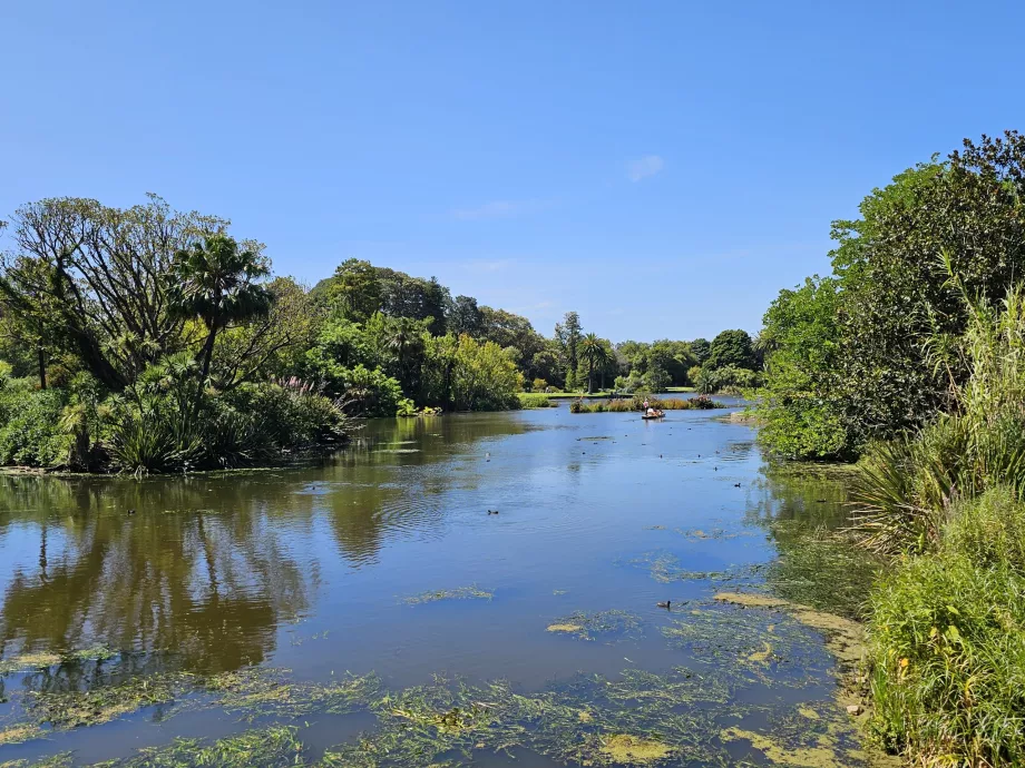 Real Jardín Botánico