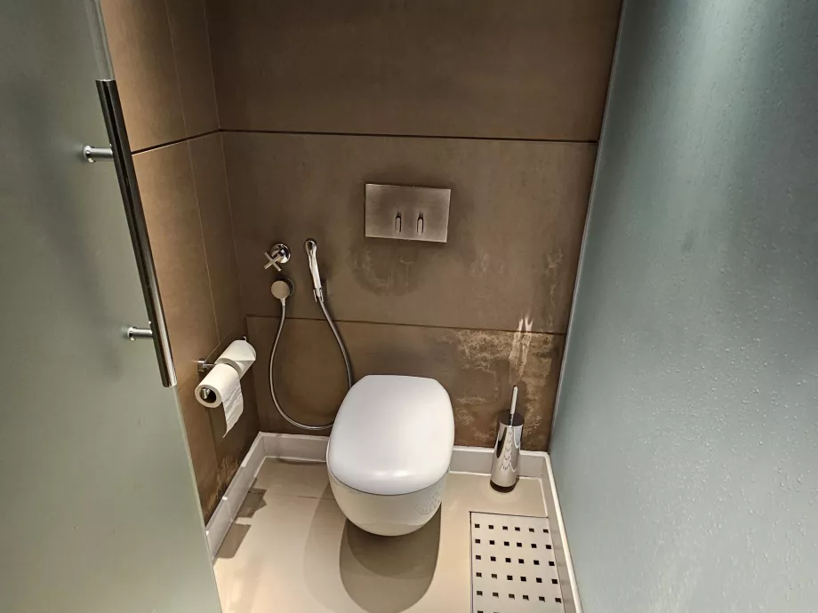 Aseo en habitación con ducha