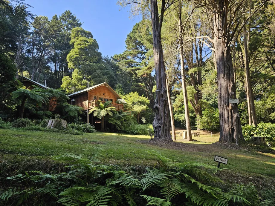 Cordillera de Dandenong