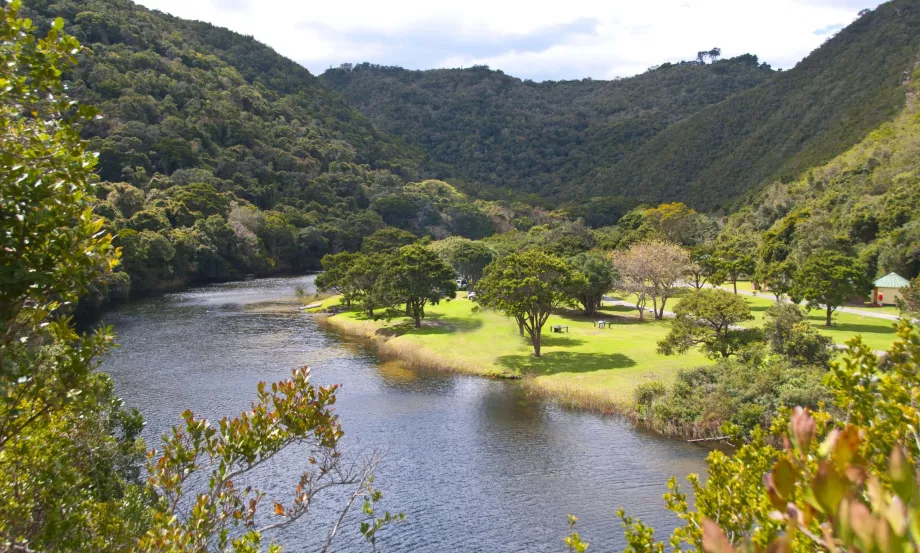 Naturaleza