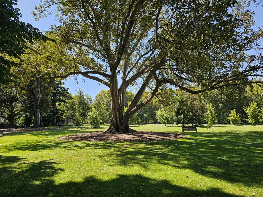 Jardines Fitzroy