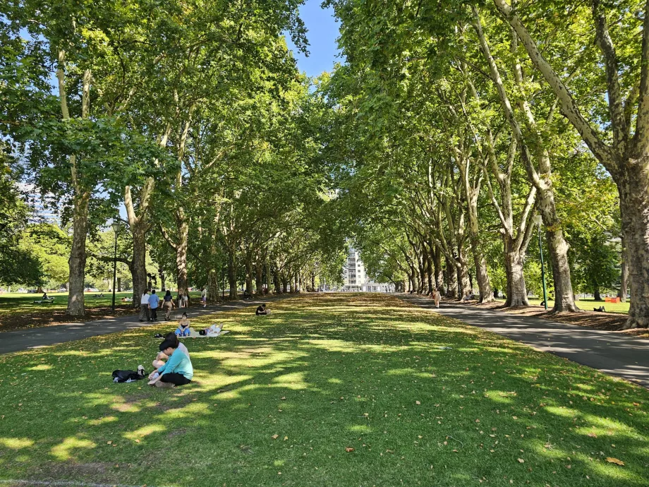 Jardines Carlton
